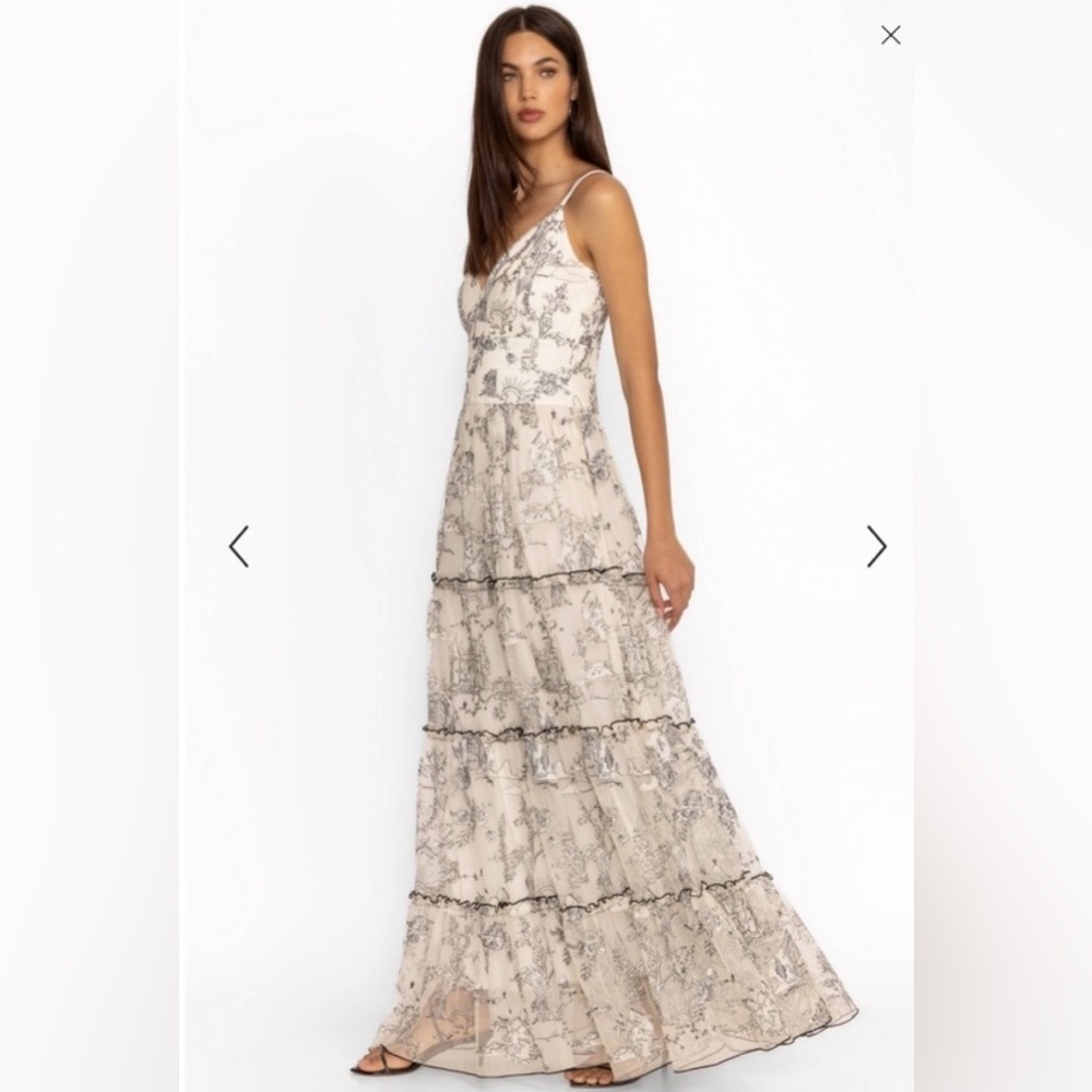 Johnny Was House on The Hill Long Dress - Sz 6 - for trade only